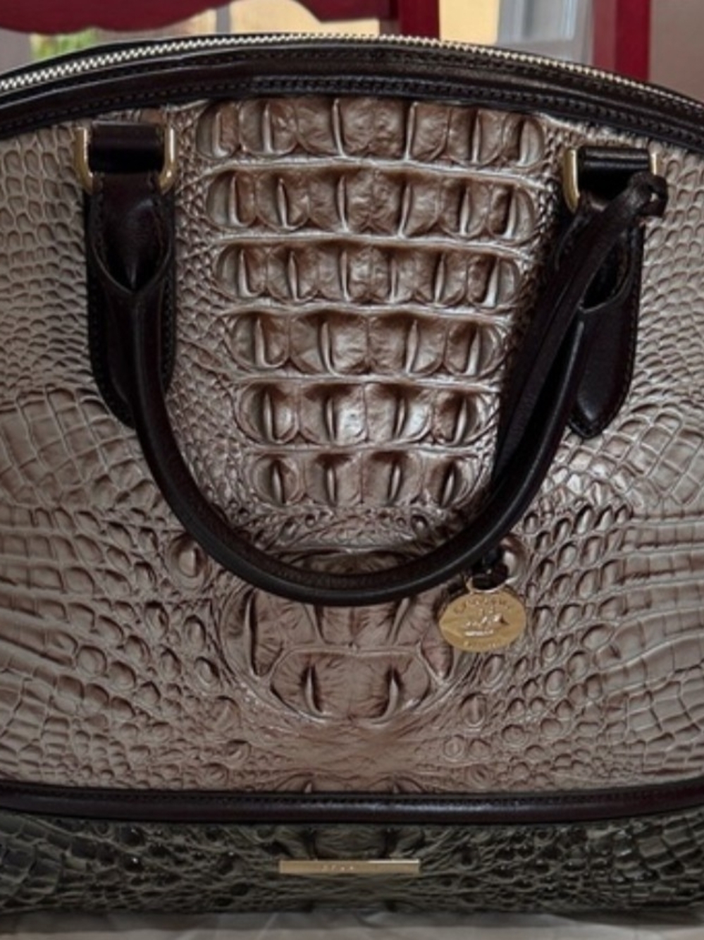 Brahmin LG Leather Duxbury Silver Lining Windemere Satchel - Picture 8 of 11